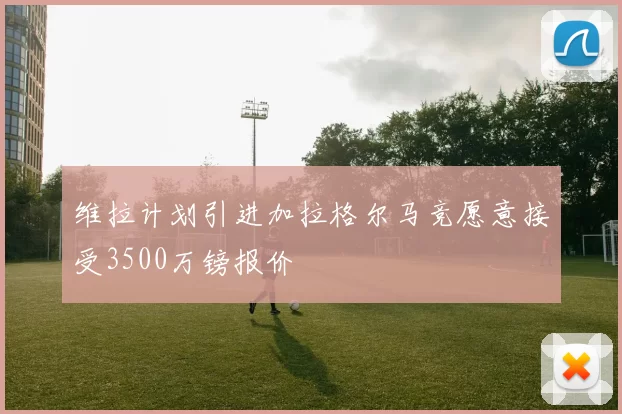 维拉计划引进加拉格尔马竞愿意接受3500万镑报价